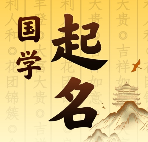 武隆国学起名 人工起名一对一